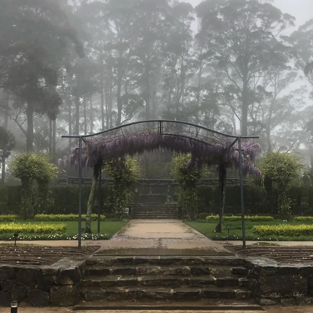 Blue Mountains Botanic Garden