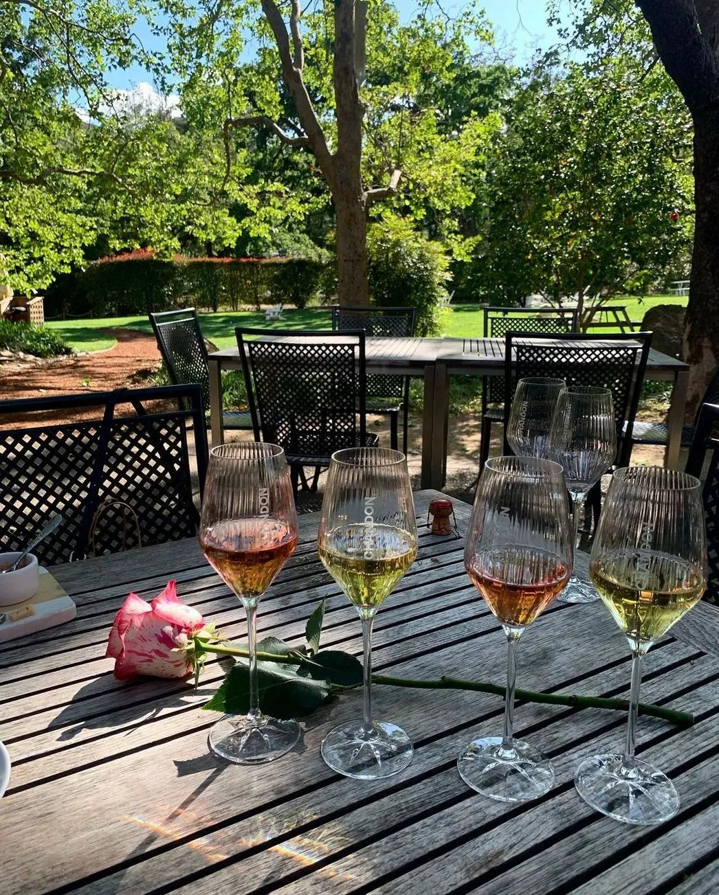 Discover Yarra Valley’s Finest Wines & Award-Winning Wineries