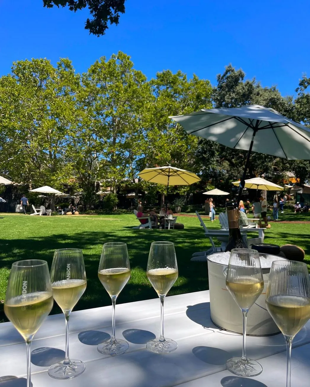 Domaine Chandon