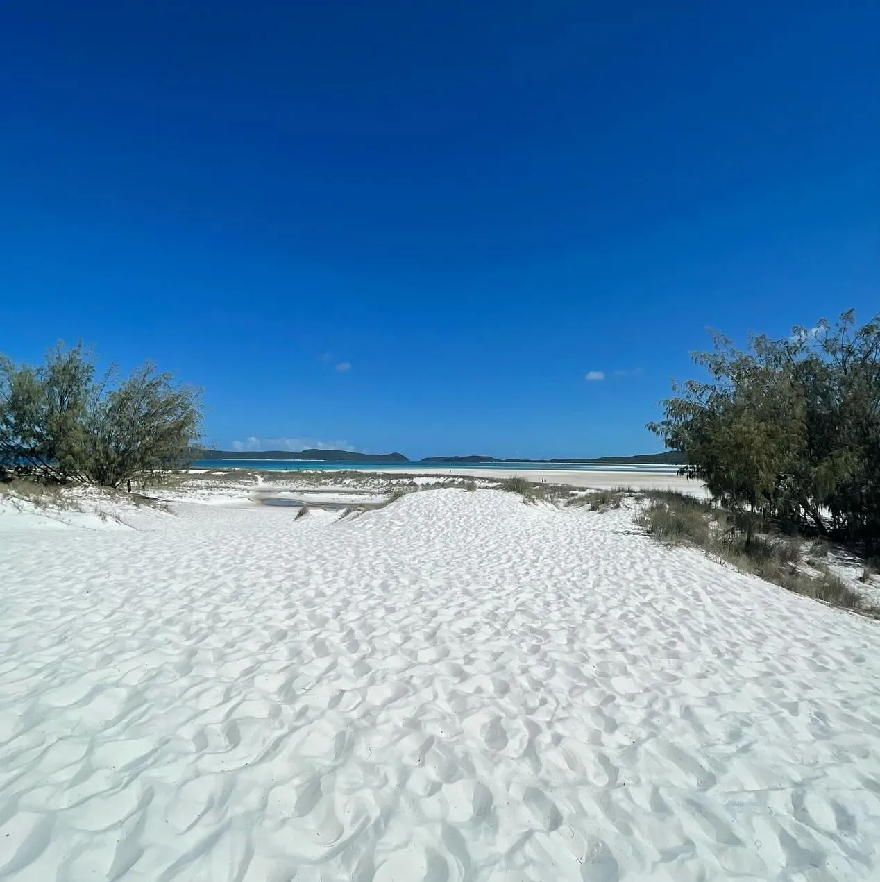 Kankens Australia | What Is The Largest Island On The Great Barrier Reef? How To Explore The Island Without Cooking Yourself