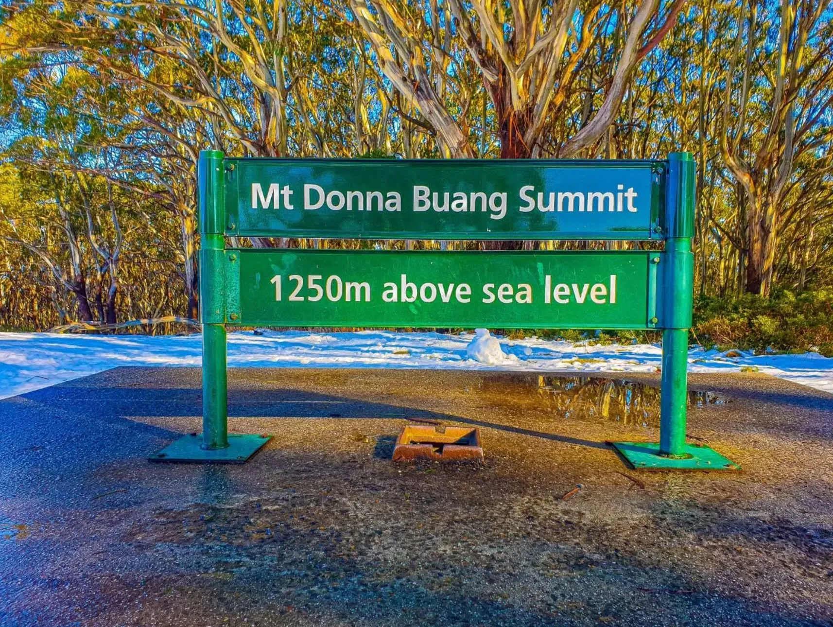 Mount Donna Buang