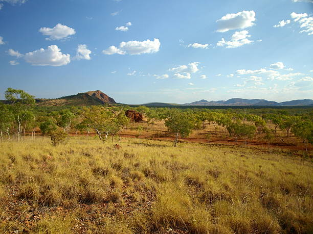 Kankens Australia | Exploring Darwin's National Parks: Wildlife, Waterfalls, and War History